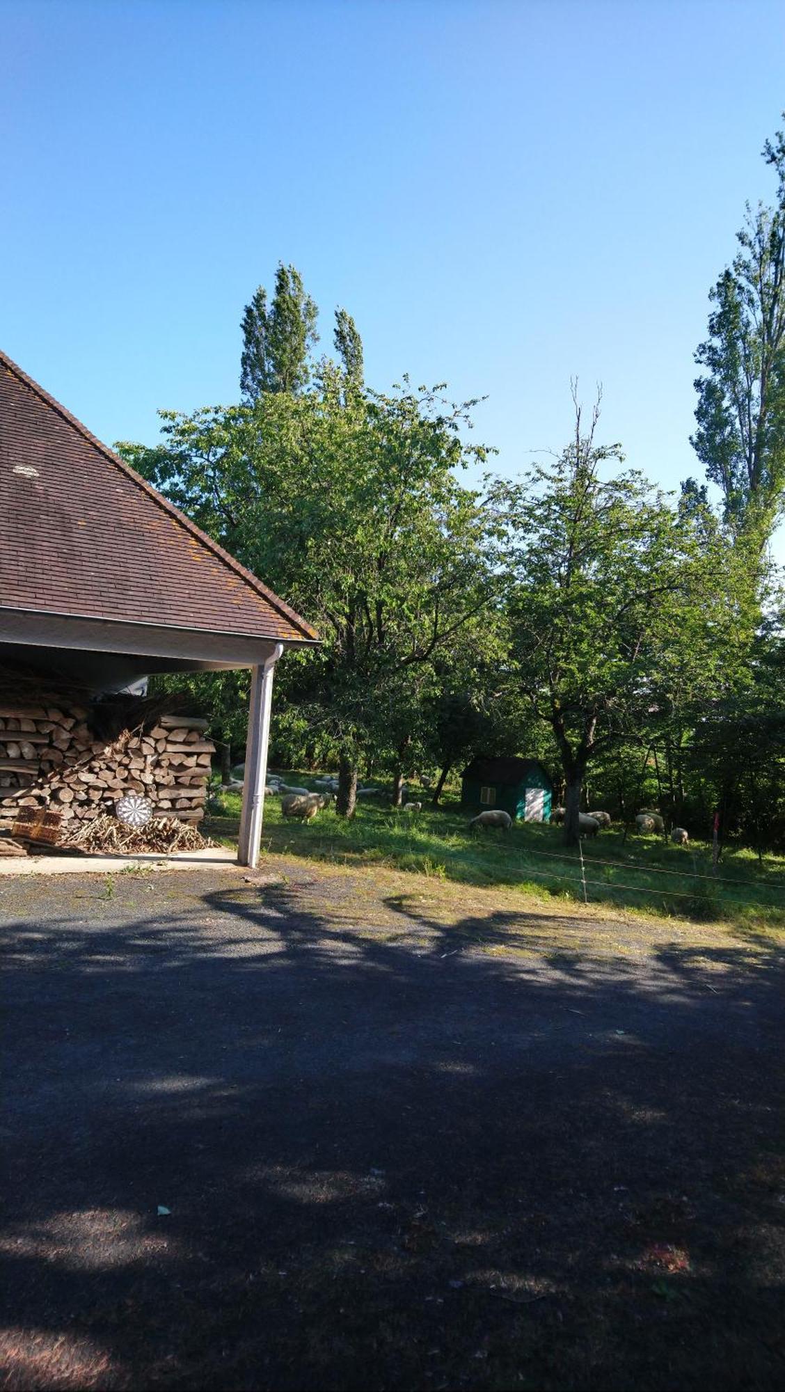 Les Allees Du Chateau Le Mazeau Exterior foto