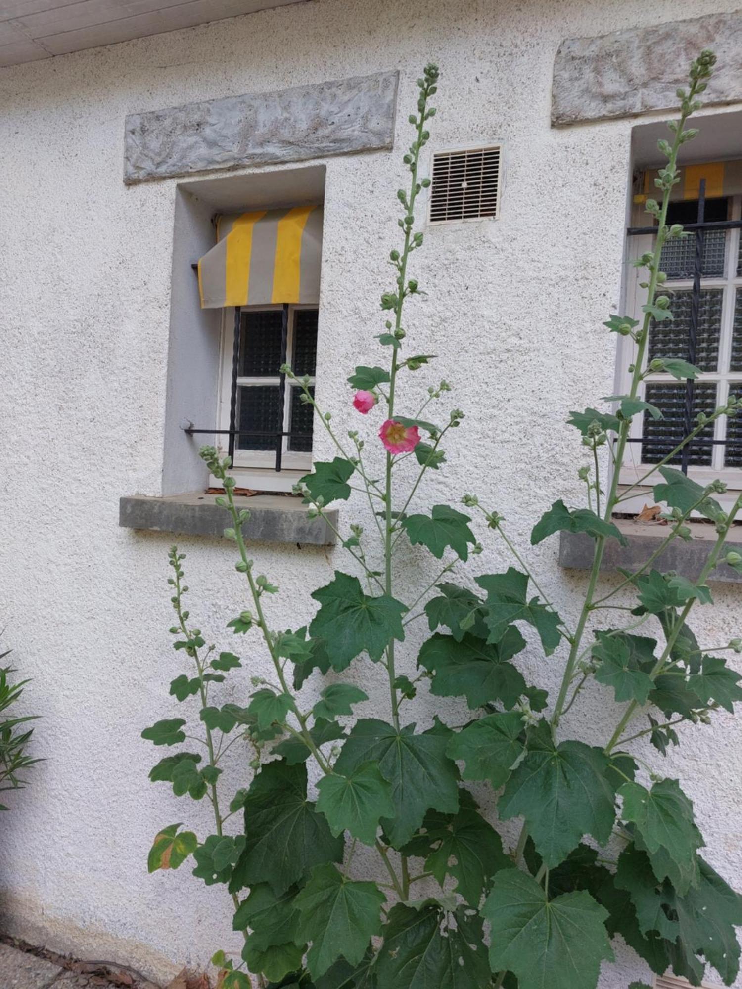 Les Allees Du Chateau Le Mazeau Exterior foto